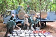 Nghịch lý trong sản xuất - kinh doanh cao su thiên nhiên Việt Vam